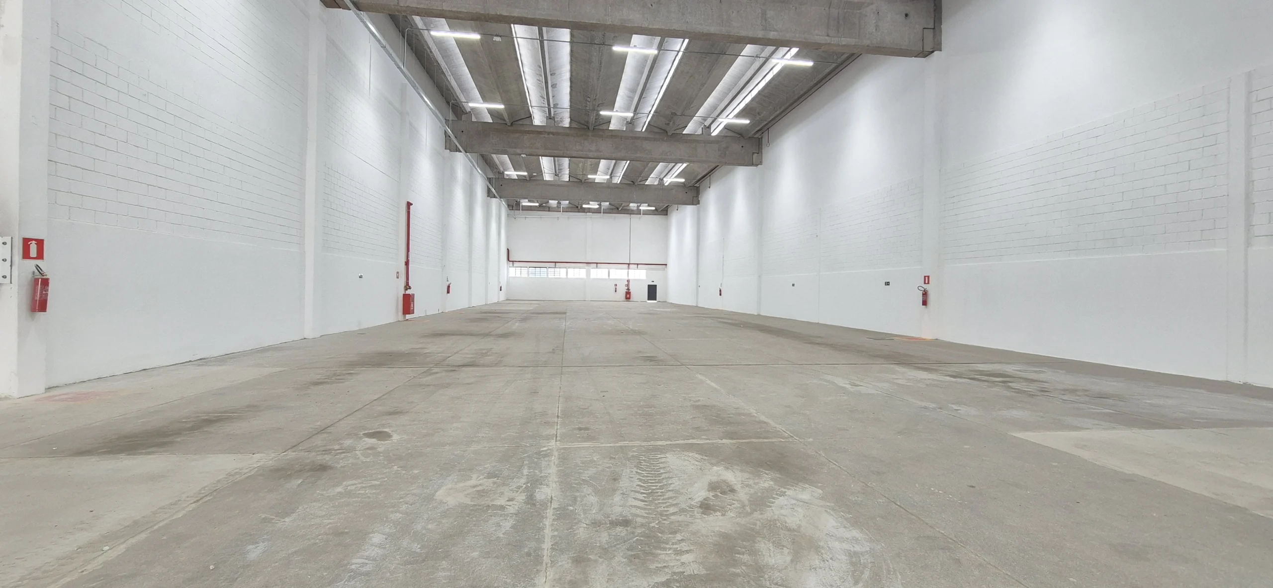 20250210_114142 - Copia