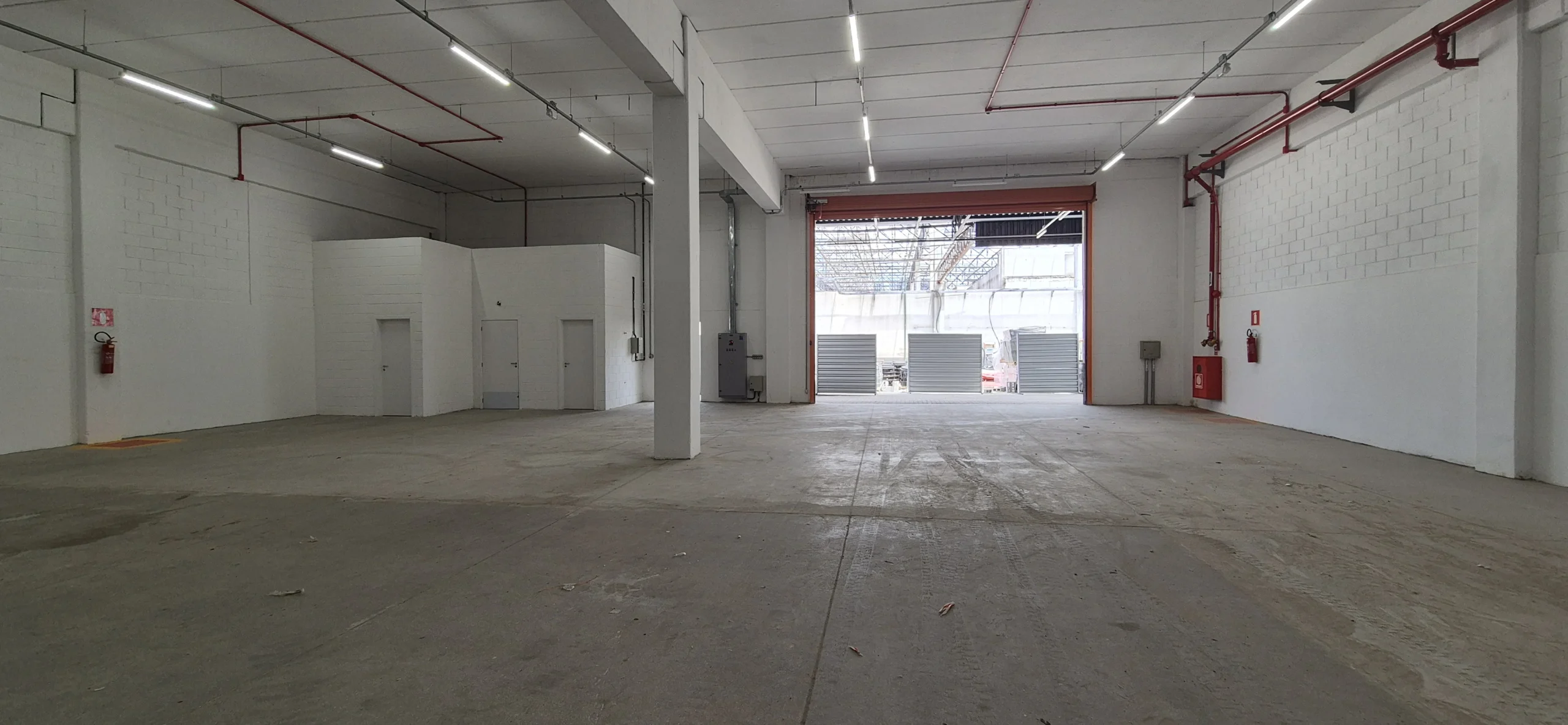 20250210_114155 - Copia