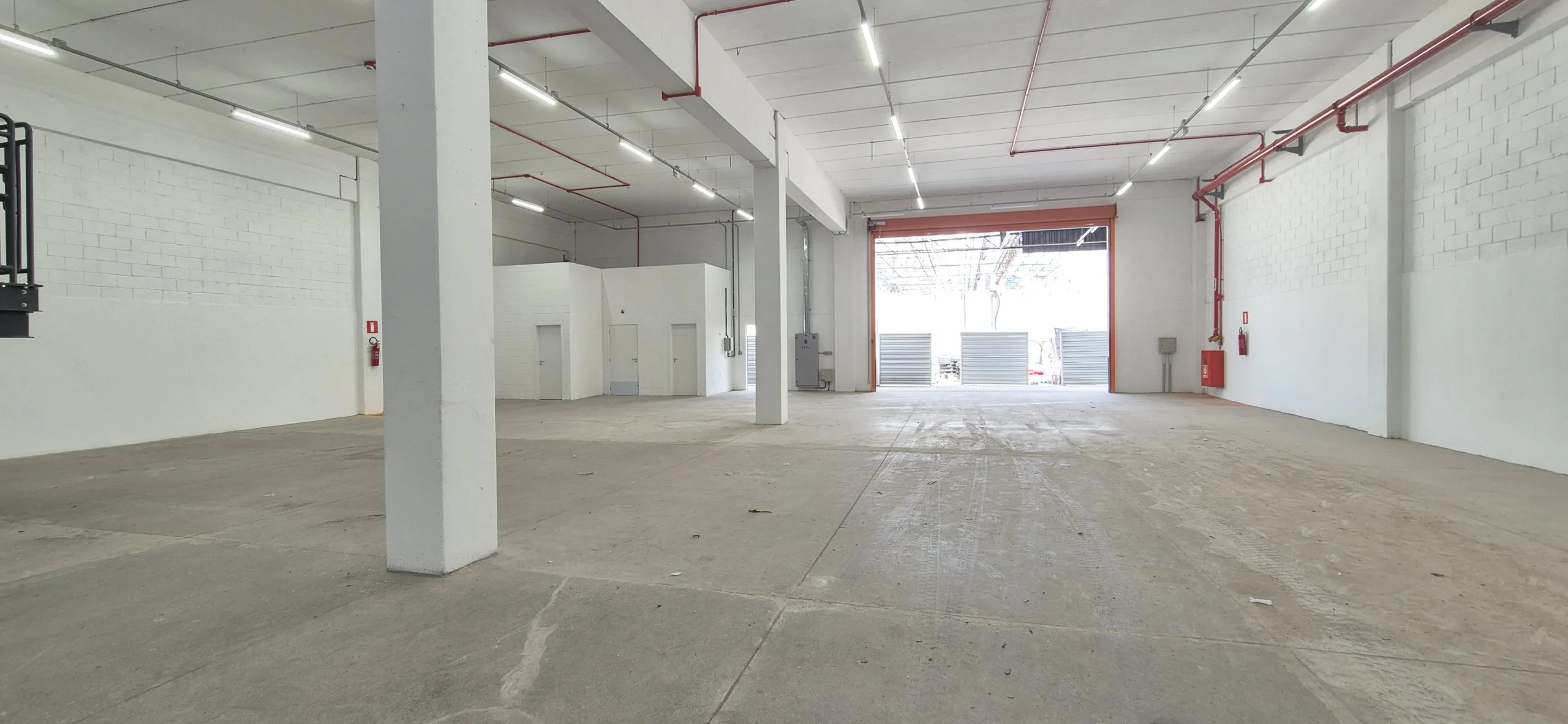 20250210_114342 - Copia