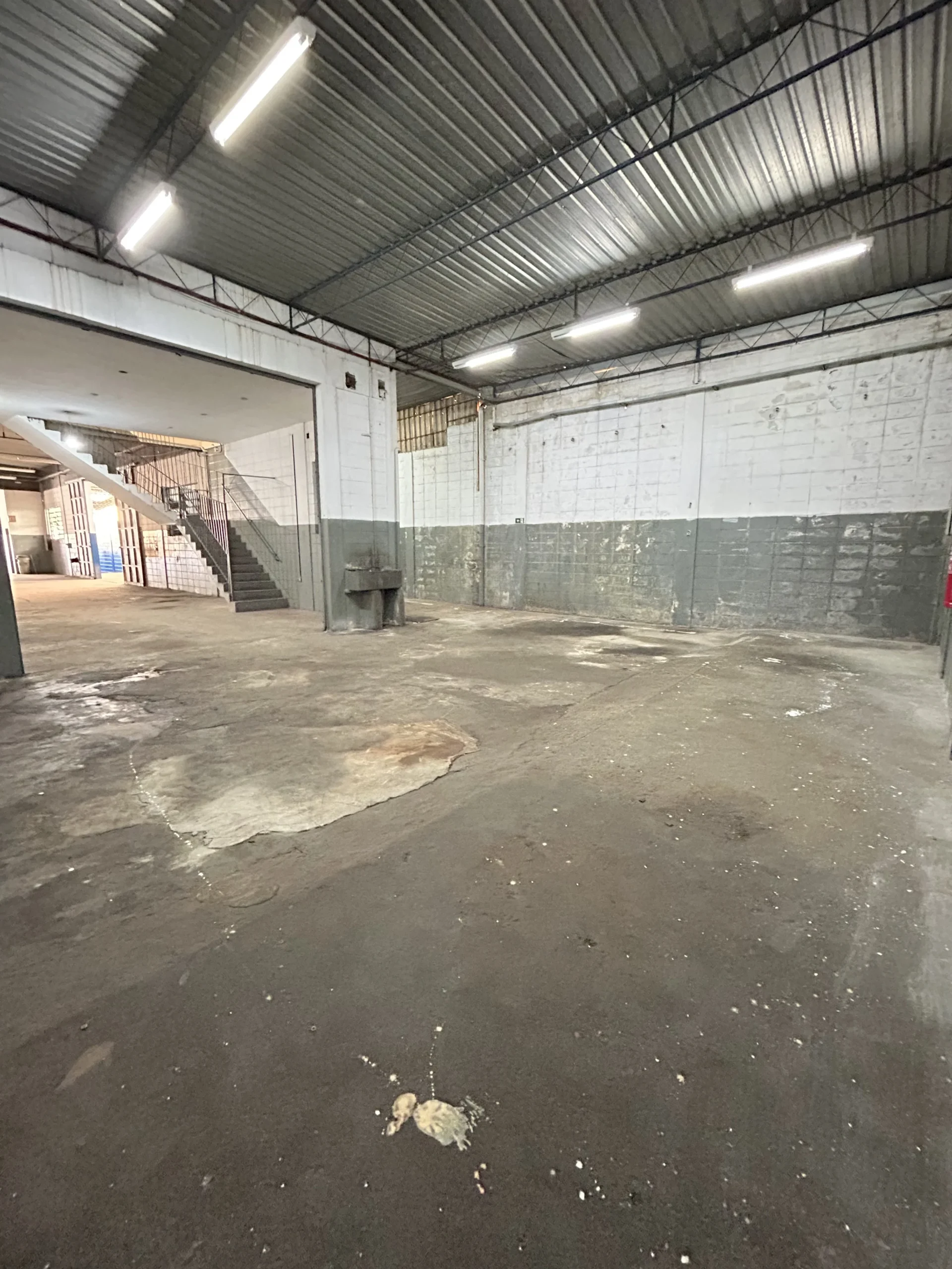 4 salão fundosIMG_4567