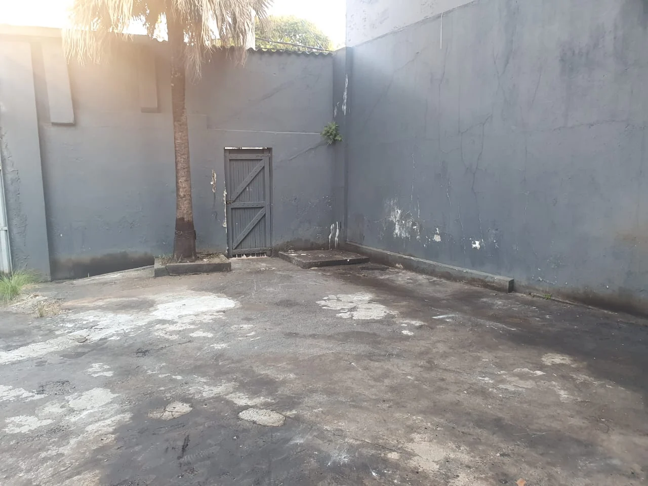 WhatsApp Image 2024-05-09 at 13.00.30