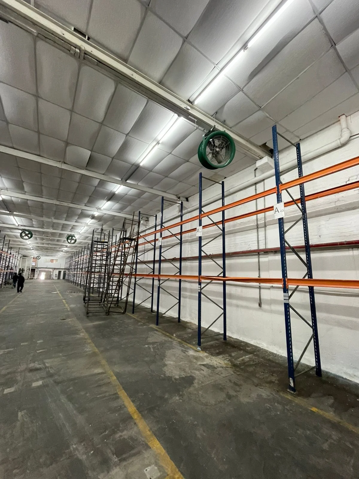 WhatsApp Image 2026-03-24 at 20.47.59 (3)