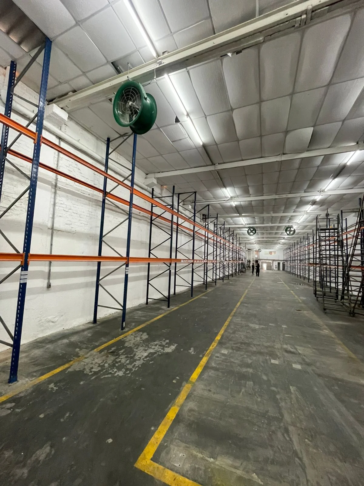 WhatsApp Image 2026-03-24 at 20.47.59 (4)